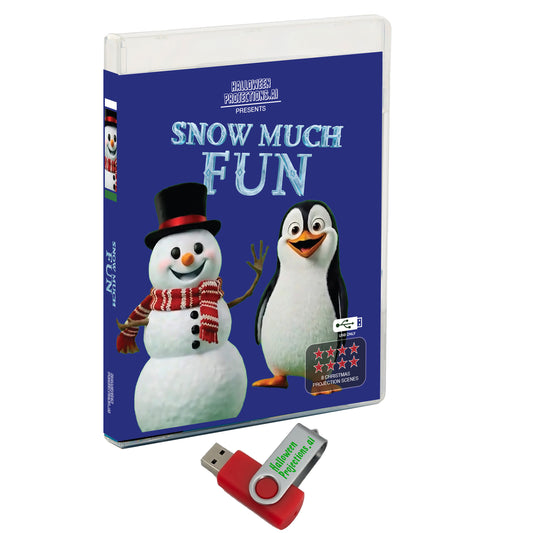 Snow Much Fun on USB